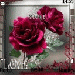 Themes Tình Yêu Đẹp Nhất