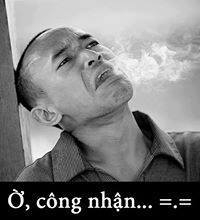 Anh troll comment facebook