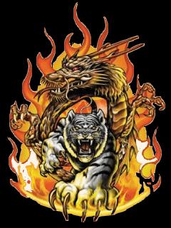 Tai hinh nen dragon