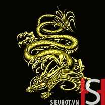 Tai hinh nen dragon